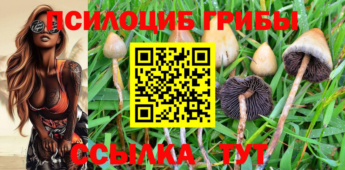 Псилоцибиновые грибы GOLDEN TEACHER Новочебоксарск